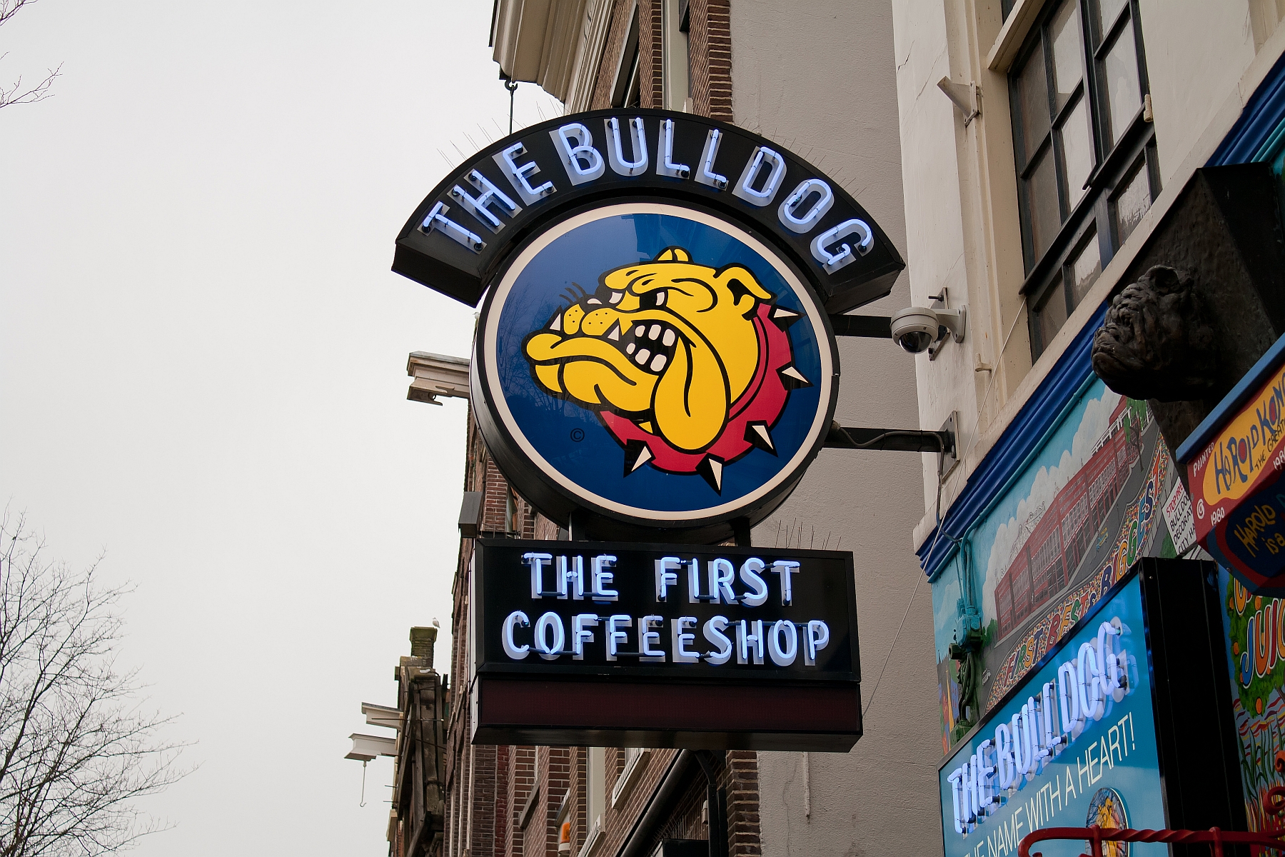 De bekendste coffeeshop van Amsterdam moet waarschijnlijk ook verhuizen.